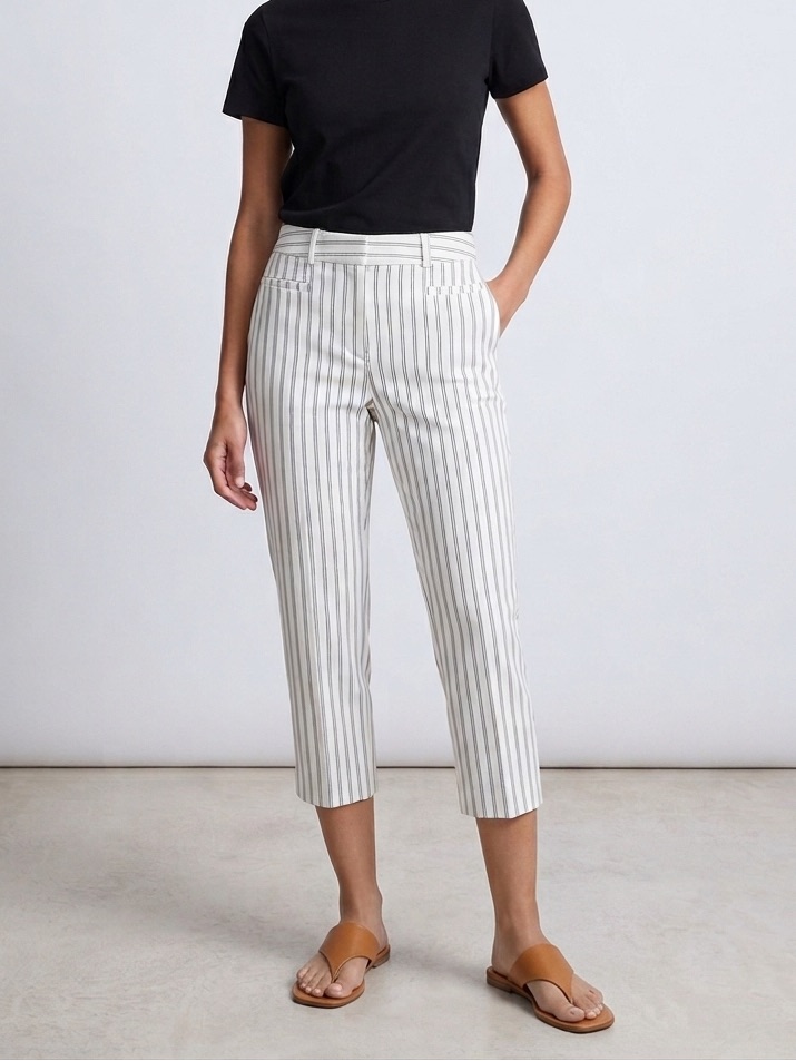 Banana Republic Sloan Petite Striped Capri Pants - White & Navy, Size 2p